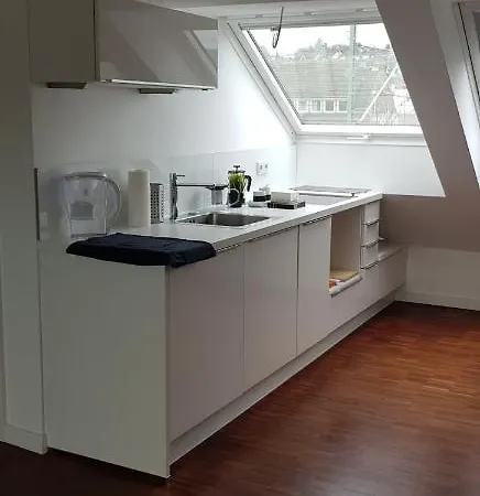 Loftapartment Im Historischen Fabrikambiente * Geisenheim