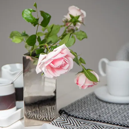 Apartman Loftapartment Im Historischen Fabrikambiente