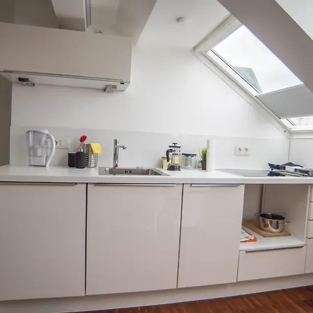 Appartement Loftapartment Im Historischen Fabrikambiente Geisenheim